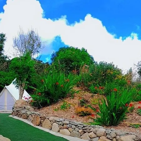 Fairy Cove At Rosemount Glamping *