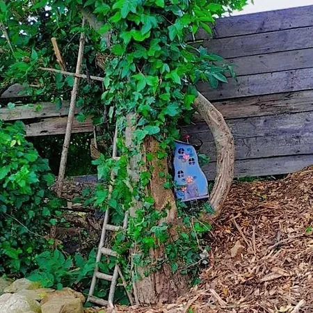 Fairy Cove At Rosemount Glamping 럭셔리텐트 칼링포드